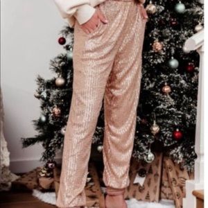 Anthropologie Shimmer Metallic Joggers Size 2X